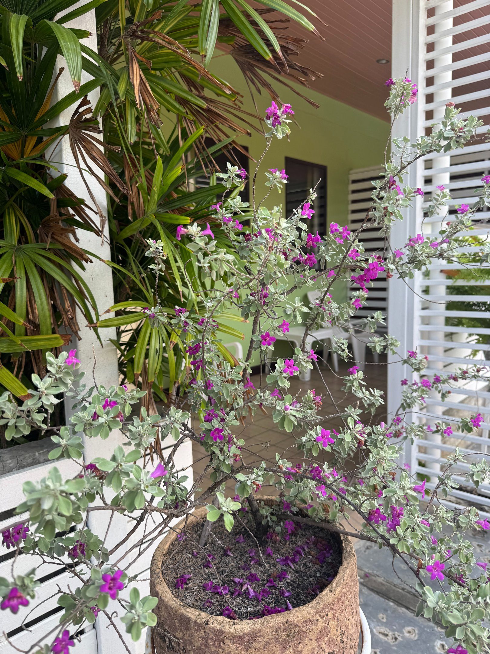 Private bathroom with glass shower, Deluxe King Room, Kata Beach