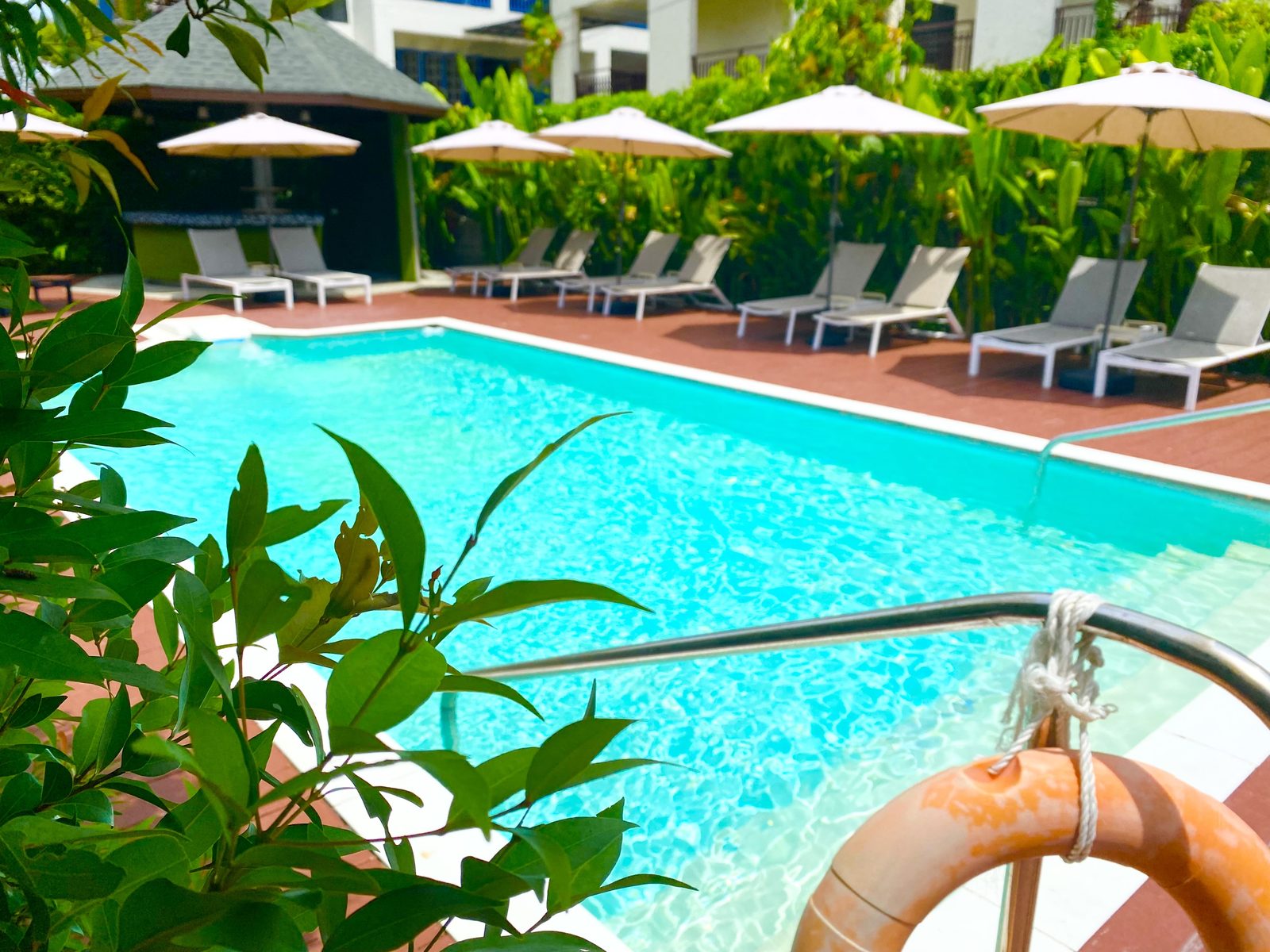 Turquoise pool water with a life ring and plants